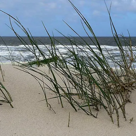 Deichgraf 3* كوكسهافن