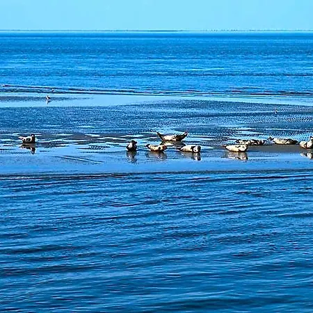 Deichgraf Cuxhaven